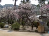 29-Dazaifu-02