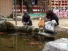 31-Dazaifu-04