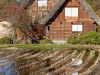 Shirakawago-03