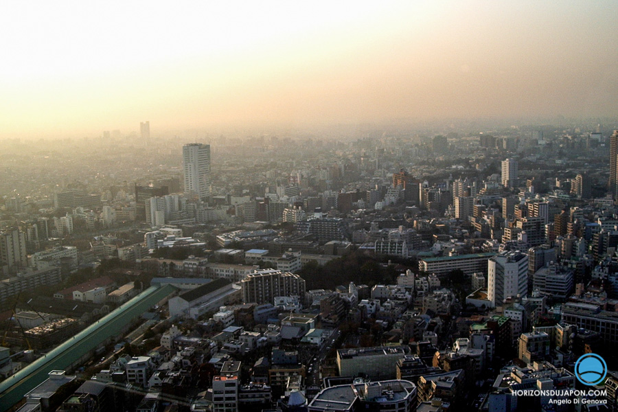 17-Tokyo panoramique