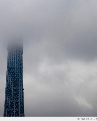 338 mètres de Tokyo Sky Tree