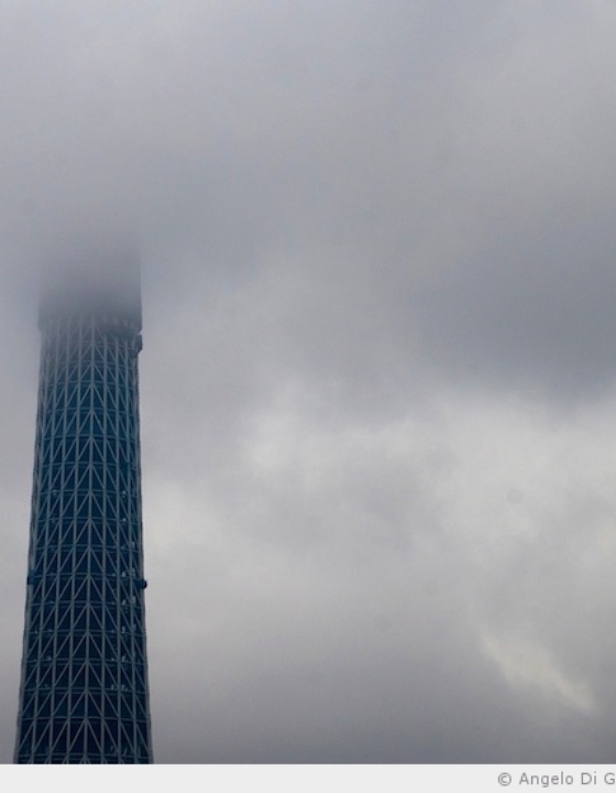 338 mètres de Tokyo Sky Tree