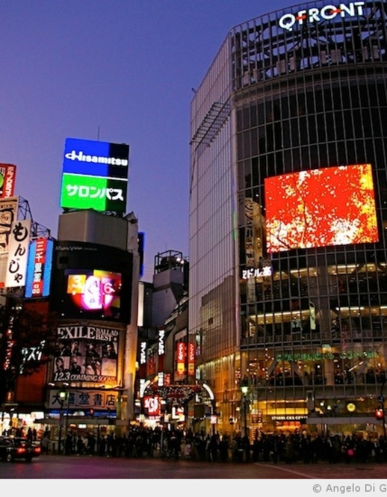 Shibuya et son carrefour piéton