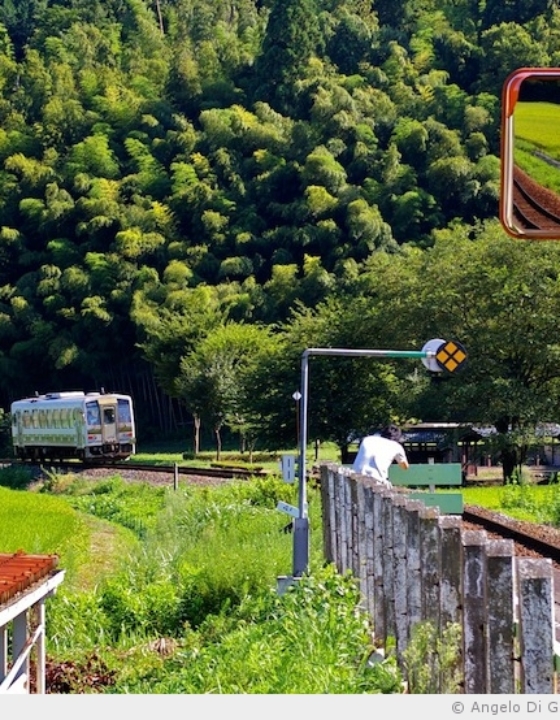 La petite gare au soleil