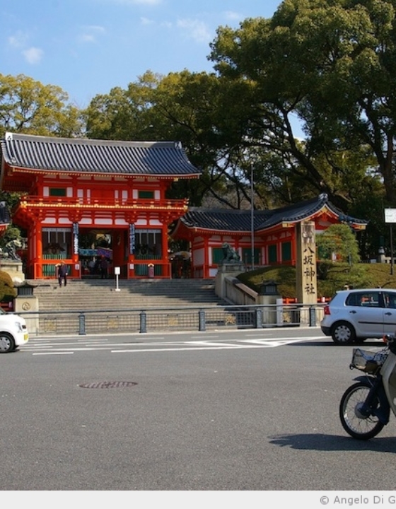 Et pendant ce temps-là . . . à Kyoto