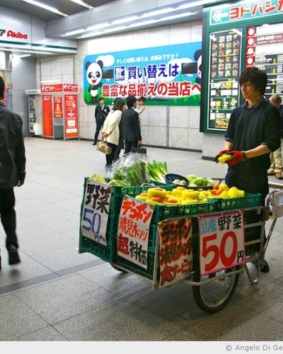 Visiter le Japon, c’est une marque de solidarité