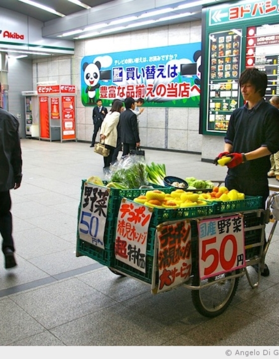 Visiter le Japon, c’est une marque de solidarité