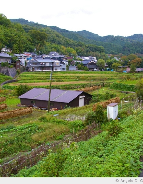 Le berceau du Japon