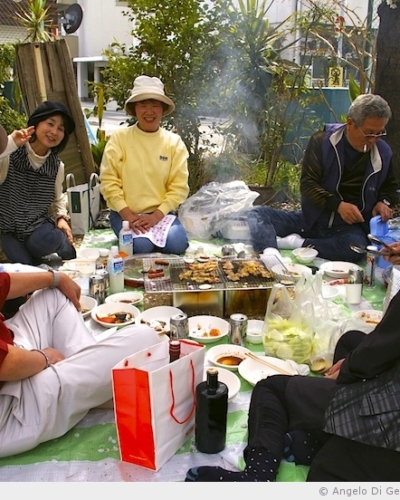 Un Hanami après la catastrophe du 11 mars