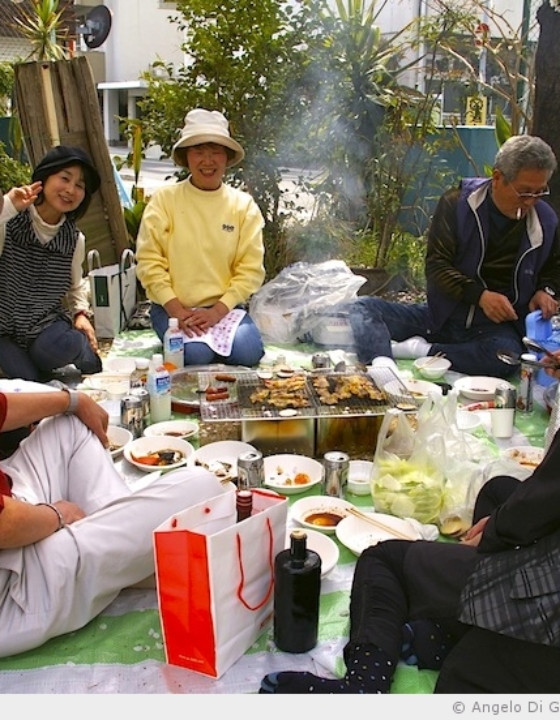 Un Hanami après la catastrophe du 11 mars