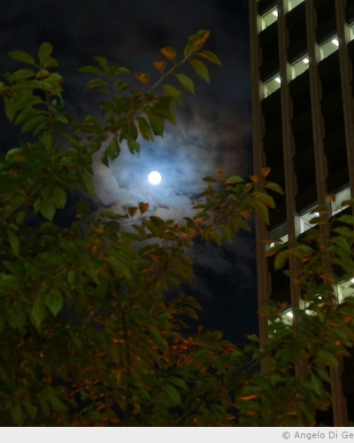 Un instant partagé sous la lune bleue