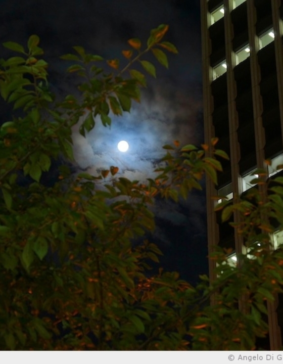 Un instant partagé sous la lune bleue