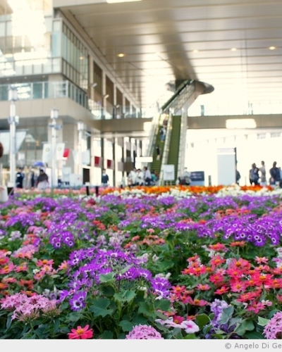 La gare d’Osaka en fleur