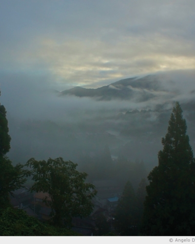 Brume matinale
