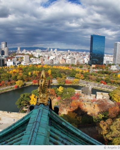 L’automne brûle sur Osaka