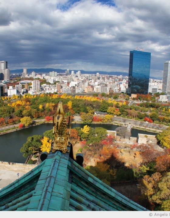 L’automne brûle sur Osaka