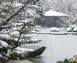 Bairin, les bosquets de pruniers japonais