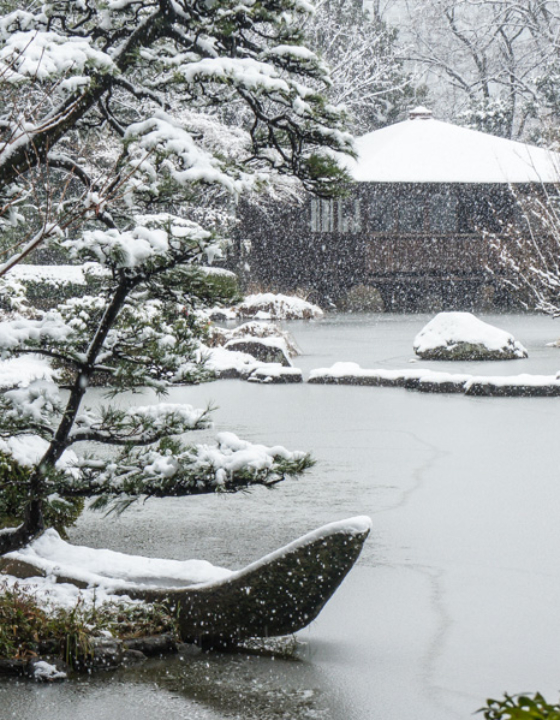 Osaka sous la neige