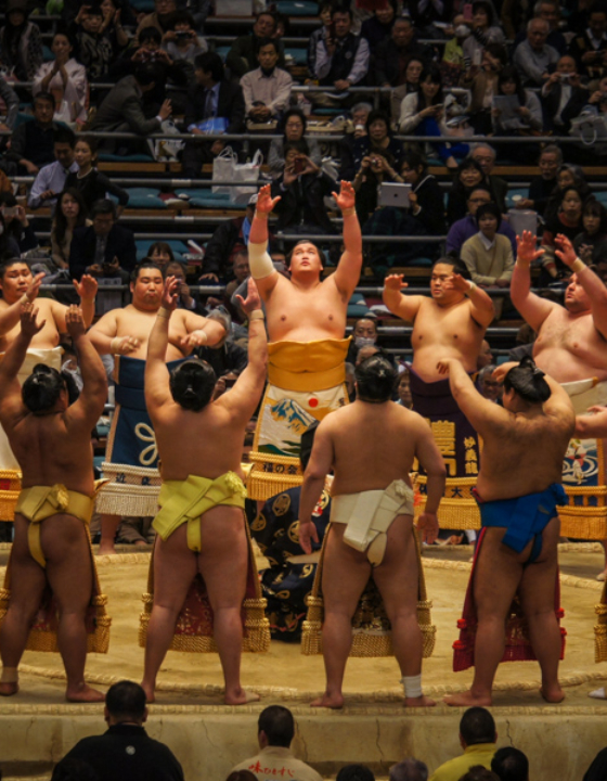 Assister à un tournoi de Sumo à Osaka