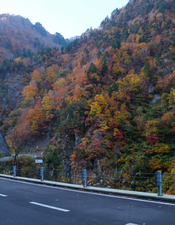 En voiture de Tokyo à Osaka en passant par les Alpes japonaises