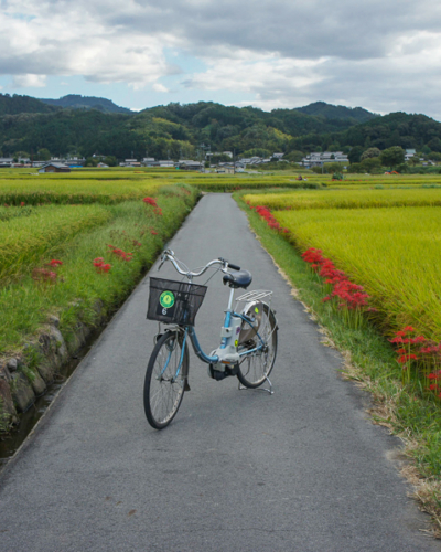 Ce Japon secret exploré toutes ces années