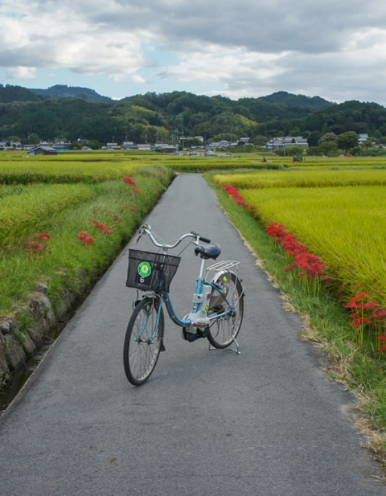 Ce Japon secret exploré toutes ces années