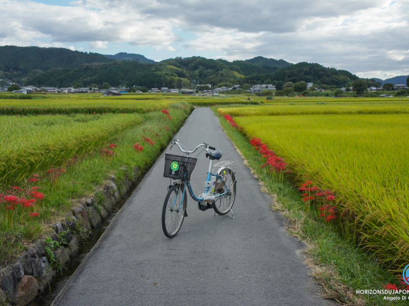 Ce Japon secret exploré toutes ces années